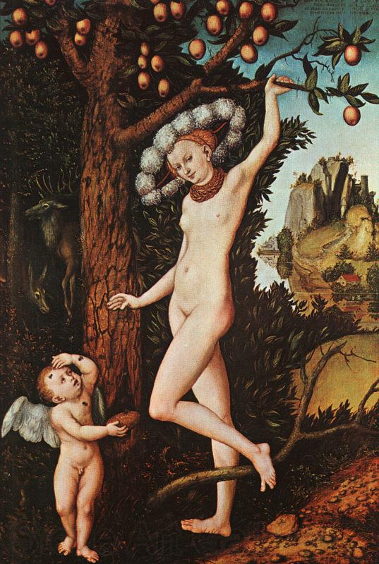 Lucas  Cranach Cupid Complaining to Venus France oil painting art